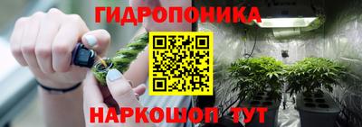 прущие крисы Кандалакша